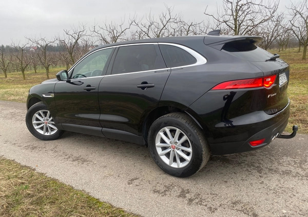 Jaguar F-Pace cena 79999 przebieg: 186000, rok produkcji 2016 z Staszów małe 704